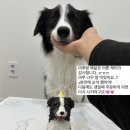 프프프 스토어 이미지