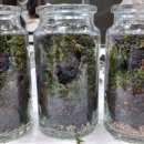 테라리움 클래스 이미지