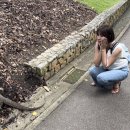 돈돈가든 이미지