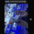 영선노래방 | 쿠키런에 미친 여성의 새해