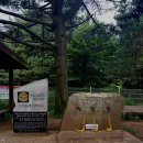 제주지방경찰청 | 제주 오름 : 궷물오름 포토존 가는법 (흐린 날 더 예쁜 궷물오름, 딥그린 감성 궷물오름 포토 스팟 탐방기)