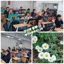 평리4동주민센터 이미지