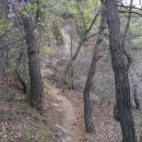 우미내길 이미지