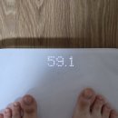 천연위고비 일주일 후기 | 식단 없이 살 빼는 방법