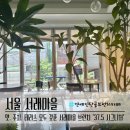 서래로7길 7 (2) 이미지