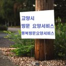 일본여행부모님선물 프리미엄 칫솔 켄트브러시 61번 직접 써보니? – 부드러운 미세모