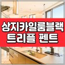 롯데타워앤강남빌딩부동산중개주식회사 | 상지카일룸블랙 아파트 펜트하우스 월세, 트리플 복층에 단독 루프탑까지!