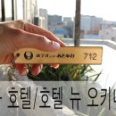 뉴스카이렌트카