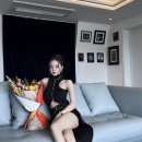 프리지아 이미지