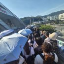 방탄 콘서트 후기