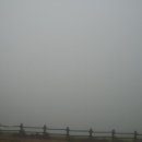 허브목장 이미지