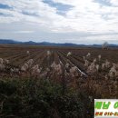 고천암축사 이미지