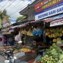 오델리스 이미지