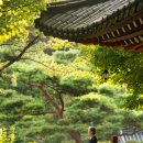 삼청각 고희연 스냅촬영, 자연 속에서 빛난 인생의 순간 by 린포토그래피