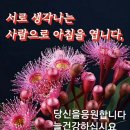 6,16(금).간추린 News 이미지