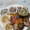 도시바다 이미지