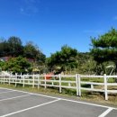 창꼬 더 카페 이미지