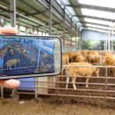 쑥쑥한우농장 이미지