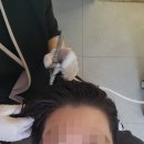 케어티정보통신 | 지루성 두피 고민으로 방문한 일산두피관리 전문 모케어 일산점 후기