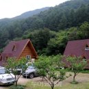 광치자연휴양림 이미지