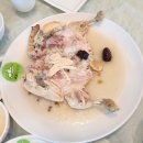 본가장수촌 | 갓김치가 맛있는 부모님과 아이랑 가기좋은 본가 장수촌 백숙맛집 추천