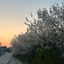 인천 강화도 숙소추천:: 복층 펜션 어썸플레이스 c-1 후기 , 바베큐 정보, 조식 정보, 주변 편의점 정보