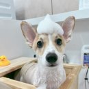 몽심살롱 이미지