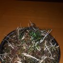 은해 농장 이미지