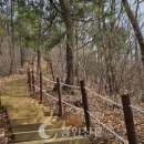 용인종합정비 이미지