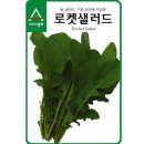 씨앗