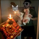 은아유통 | 노브랜드 베리 쇼콜라 케이크 후기