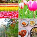 (주)브이시시 | 결국 갔어요! 춘천 레고랜드, 셔틀버스 &amp; 놀이기구 대기 시간 솔직 후기
