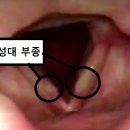 성대한의원 이미지