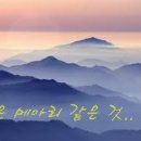 메아리 Daum카페