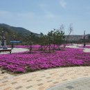 용담체련공원 이미지