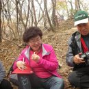 서울 청계산 벙개산행 이야기... 이미지