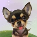 와와 네이버블로그