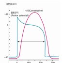 바디엔지니어스 이미지