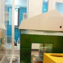 캣틀리에 이미지