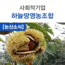 법인하늘푸드 이미지
