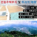 강원도 영월 전원주택부지 300평 11만원 이미지