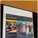 골든피티