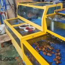 월출성여관 이미지