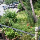 평창송어회 이미지