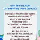 양양송이마트