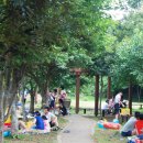 솜반내(솜반천) 이미지