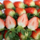 스마트스토어 숏 폼마케팅 이미지