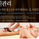 미인본가 이미지