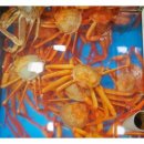 제일회센타 이미지