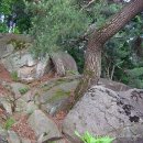 빗접바위 이미지